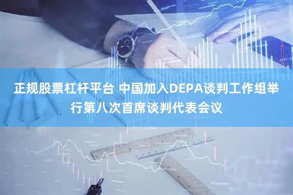 正规股票杠杆平台 中国加入DEPA谈判工作组举行第八次首席谈判代表会议