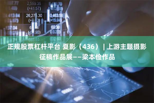正规股票杠杆平台 夏影（436） | 上游主题摄影征稿作品展——梁本俭作品